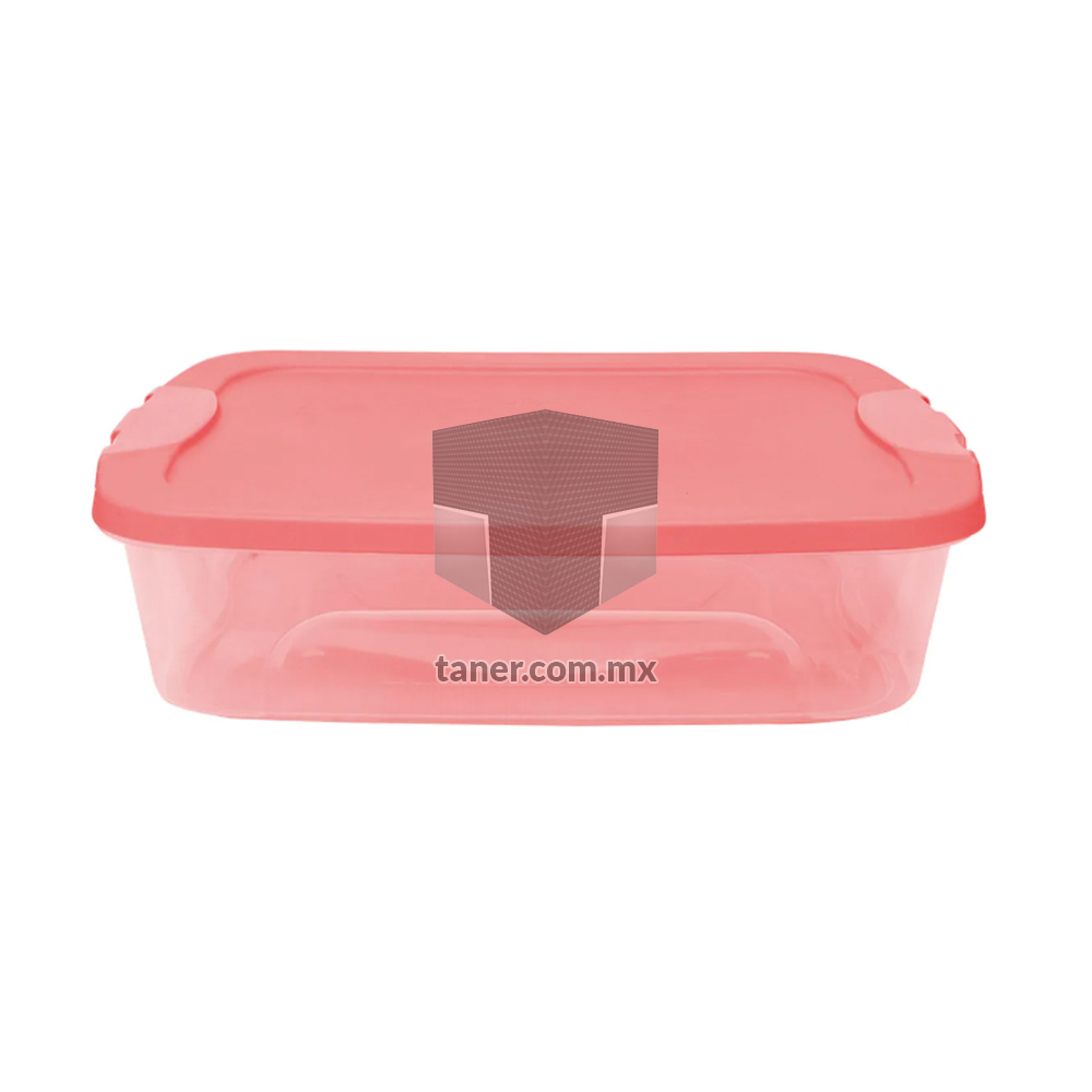 Contenedor Box Bajocama Salmón