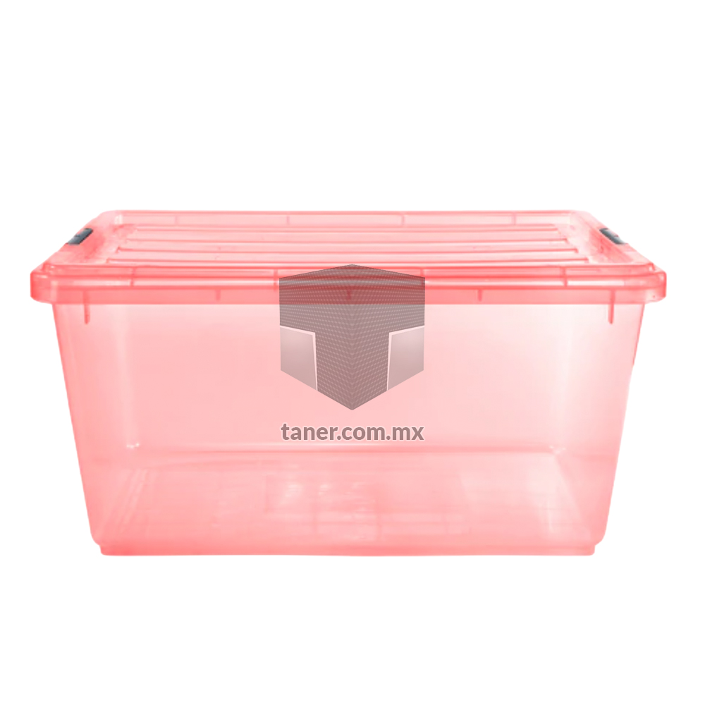 Contenedor Broches Salmon